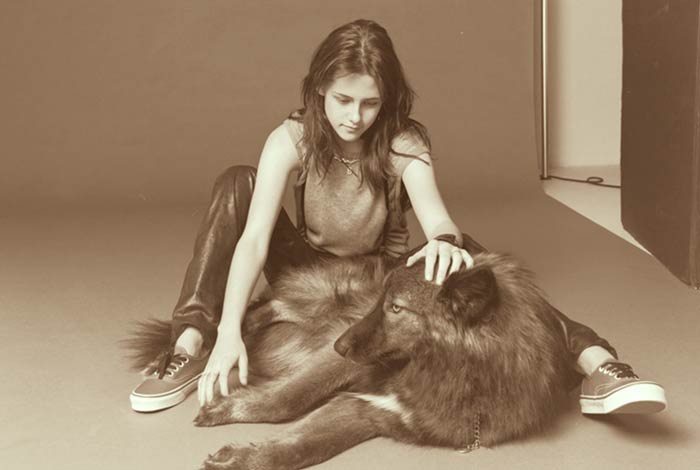 kristen stewart wolf