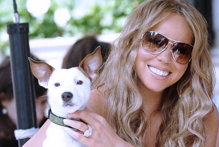 mariah carey dogs