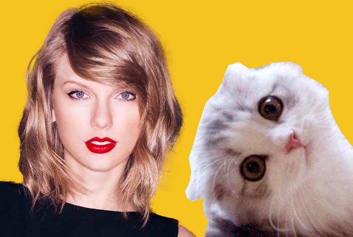 taylor swift cats
