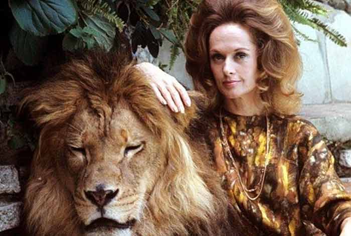 tippi hedren lion