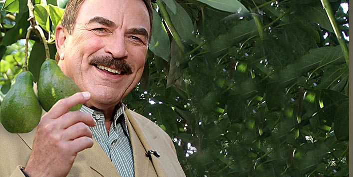 Tom selleck