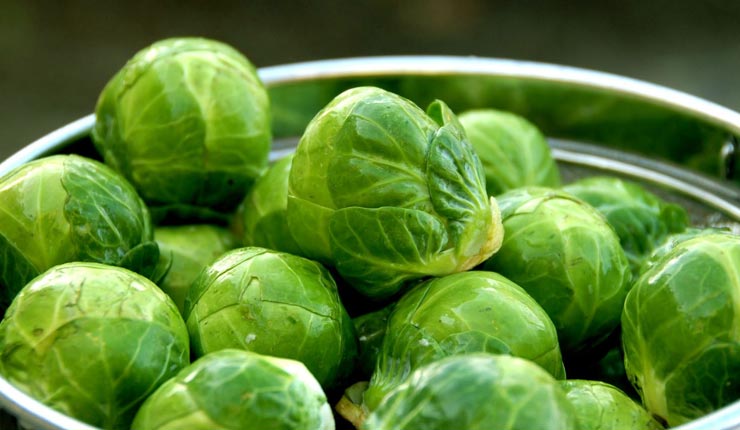 Brussels-Sprouts